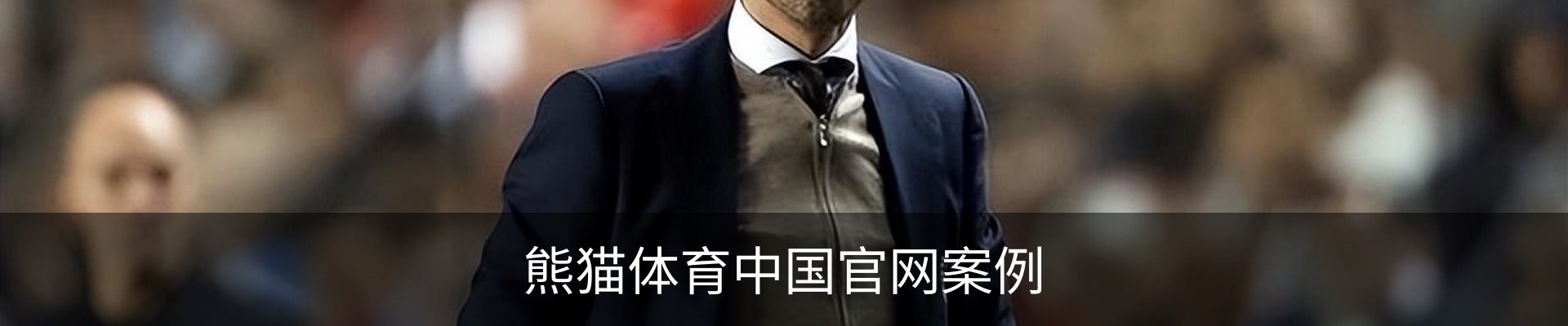 熊猫体育中国官网案例